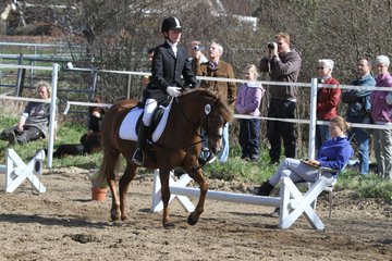 Bild 378 - WBO-Turnier am 9.4.11